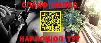 прущая мука Кингисепп