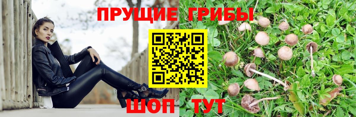 Галлюциногенные грибы Magic Shrooms  Псилоцибиновые грибы мухоморы  Кузнецк  цены   Вход с VPN 